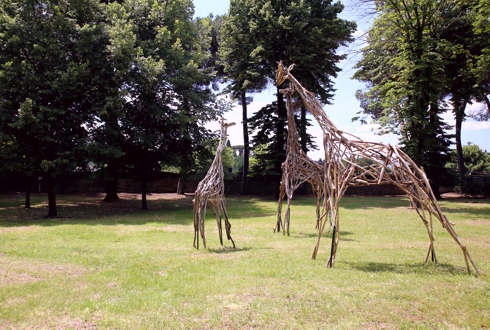 Foto della famiglia di giraffe nel parco del Meyer