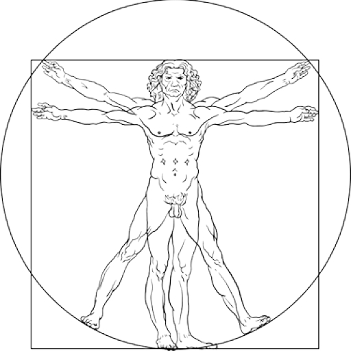 Leonardo Vitruvian Man image