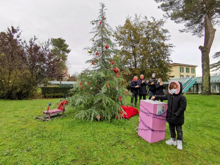 Foto accensione albero di natale al Meyer