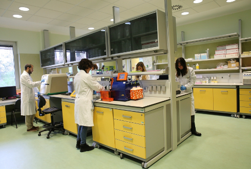 Foto di ricercatori al lavoro nel laboratorio di oncoematologia pediatrica del Meyer