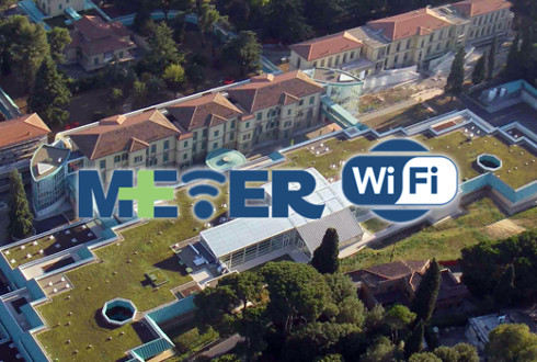 Logo Meyer WiFi