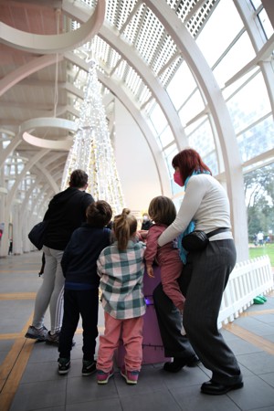 Foto di bambini che accendono l'albero di Natale nella Hall serra del Meyer