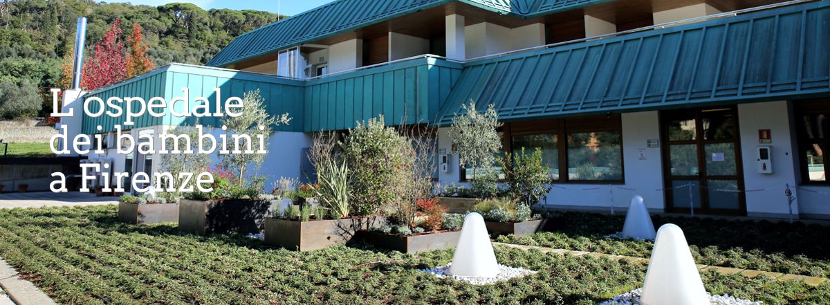 L'ospedale dei bambini a Firenze 4