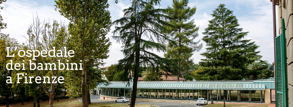 L'ospedale dei bambini a Firenze 4