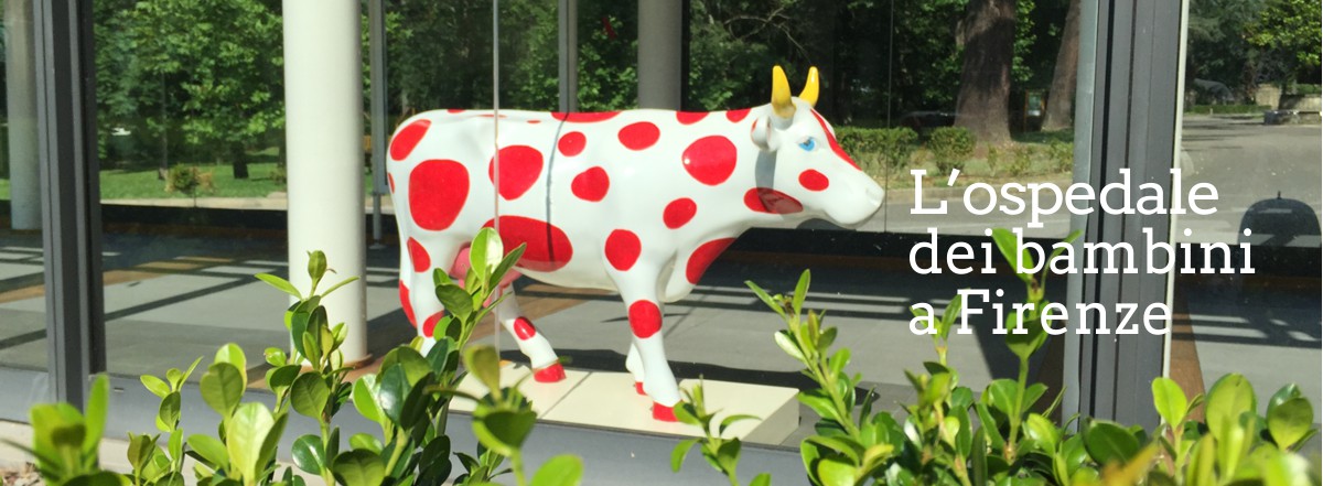 L'ospedale dei bambini a Firenze 4